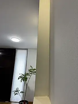 SirDamian