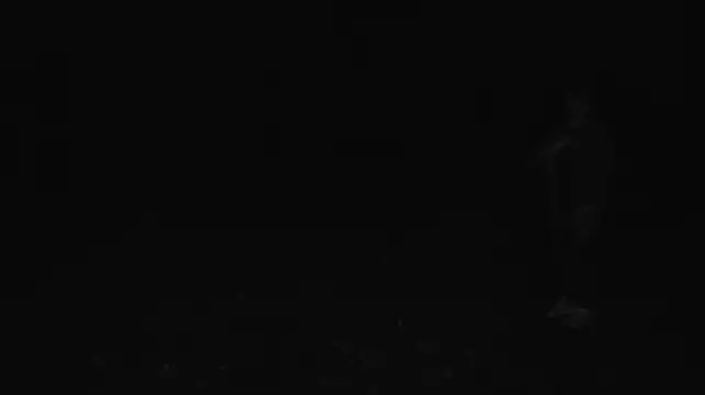 Vuitton