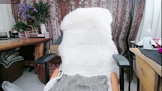 amysasa