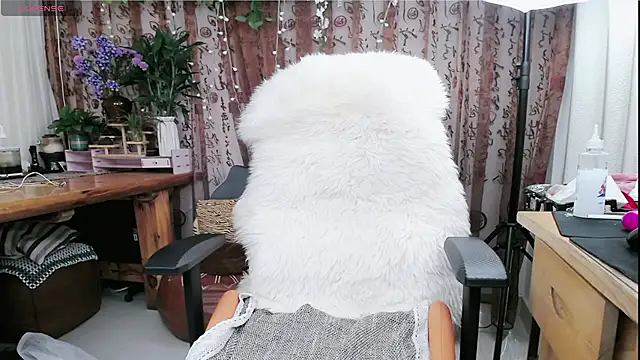 amysasa