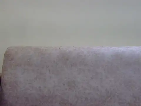 hOTY_karina