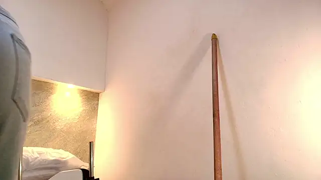 Dixie_grey1 webcam