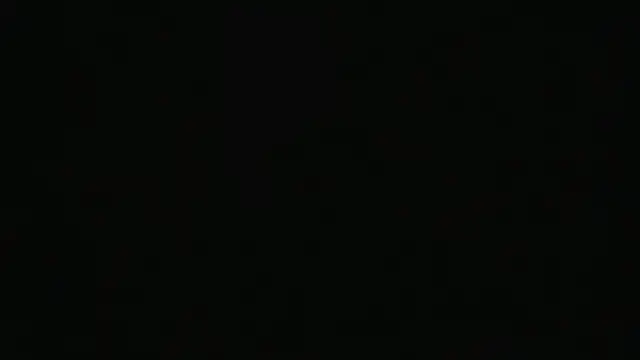 alpha-hunk webcam