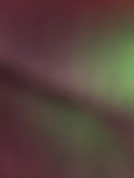 DOMINICKVEGAS77