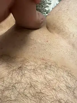 Mikedauerqeil