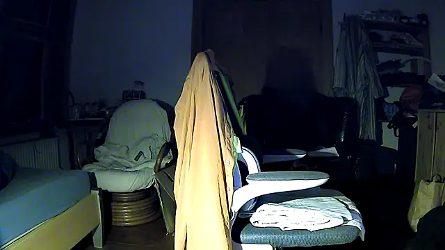 GingerBeardedLynx