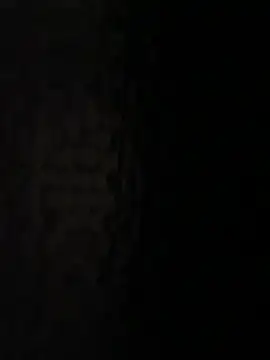 hornyhollyx