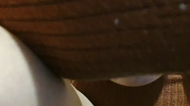 Andra_Love live cam preview