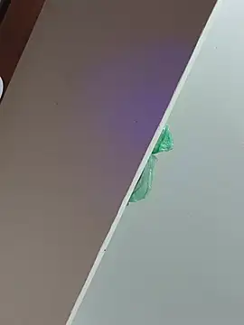 honeymodu