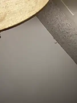 Hisnaughtylilthing