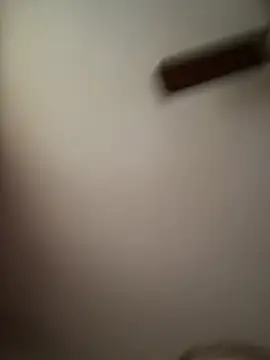 QueenNuttCollector