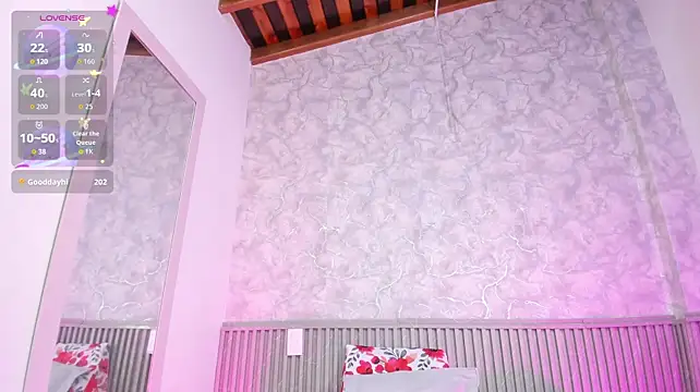 Reichel05_ webcam