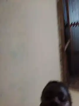 pricky5