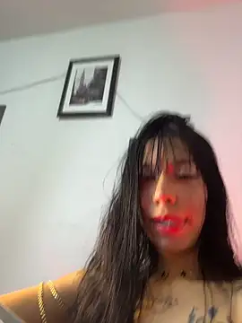 CataNexus_Dg