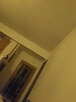 wolfidog