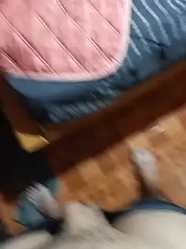 Yonyhott