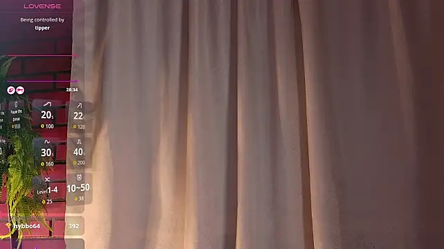 MIAAREED