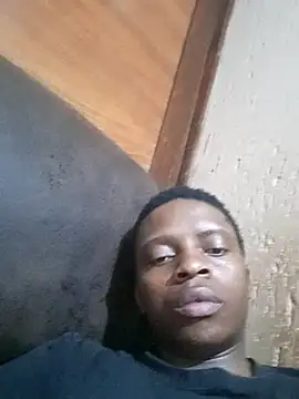 Vele081