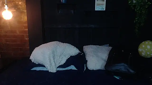 fyreandfox_