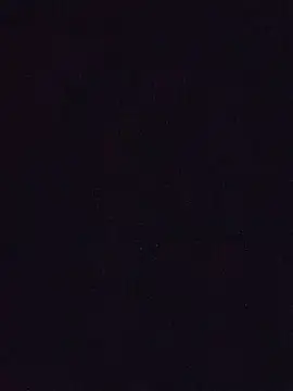 mia_mancinii