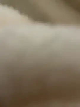 anissadiabless