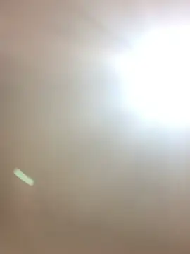 Eimycollinn
