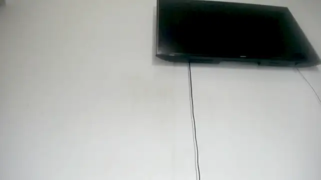 Fox_Loves
