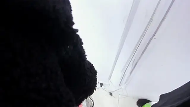 Luciana_Ass