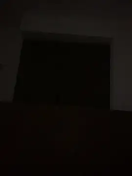 Danijela1234