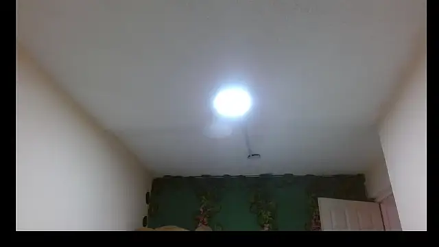 Aurorarouse16 live cam preview