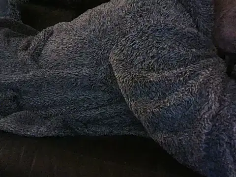 handyandyhandy live cam preview
