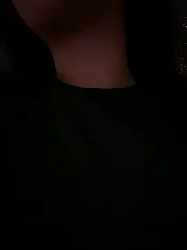 -Brittanny webcam