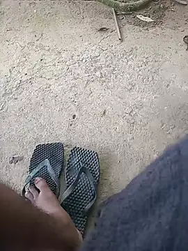 Hiptonos webcam