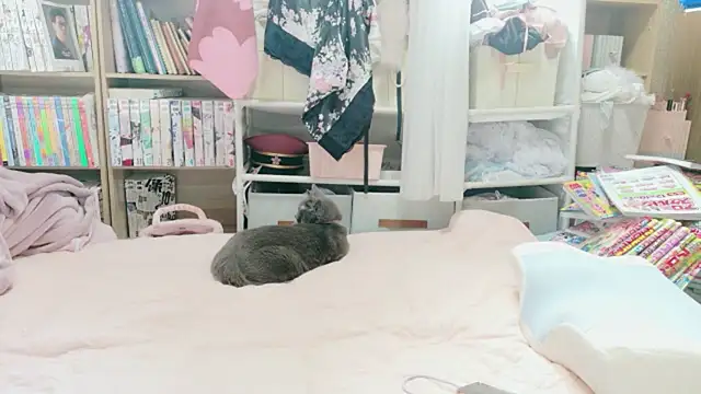morikawa_sayaka