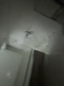 paloma_24