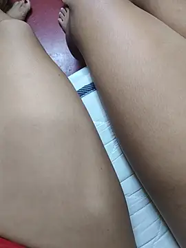 FansBRISA
