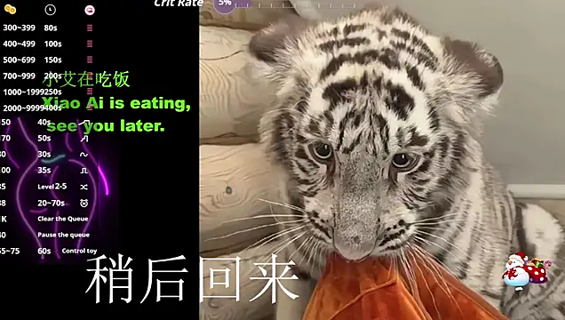 Xiaoai_007