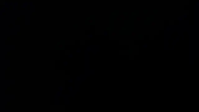 sasi_luna webcam