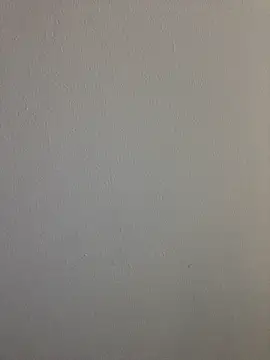 Lara_petit