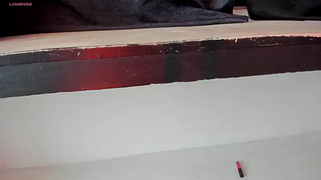 palmer_zaens webcam