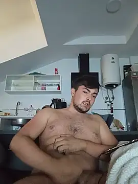 vicenmesa