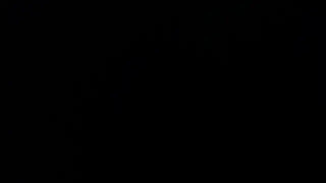 sasi_luna webcam