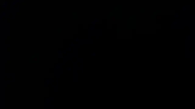 sasi_luna