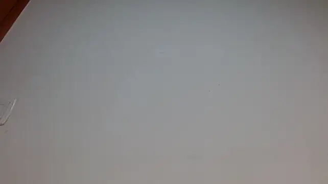 Luckyalice_4u