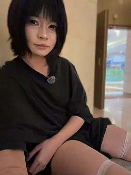 MeimoDog