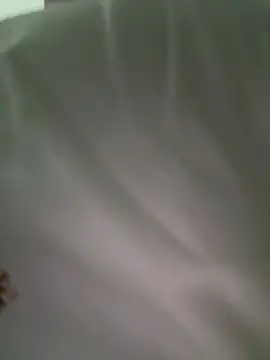 daaqnn