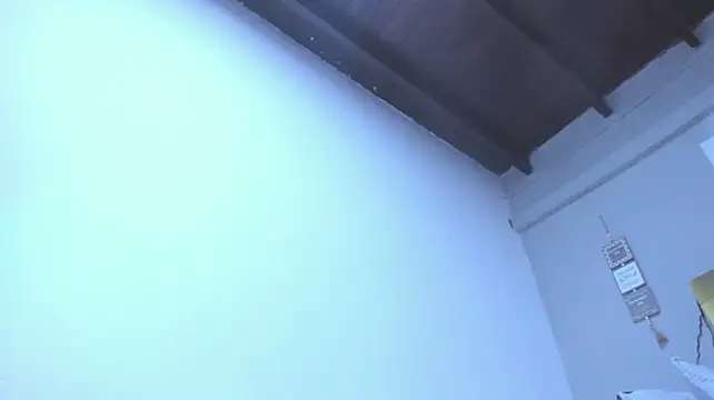 vahiolet_fuentes webcam