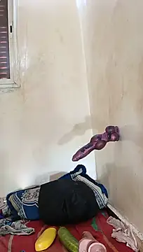 tslovetoys5