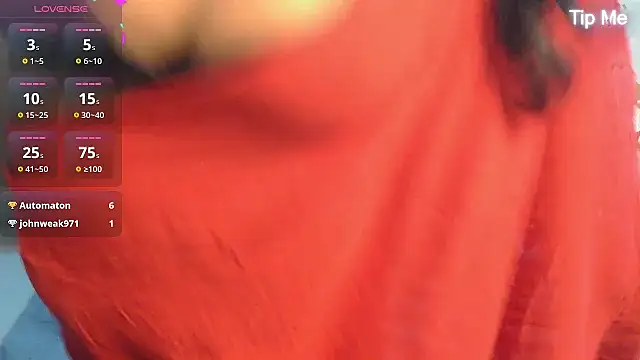 punemodel