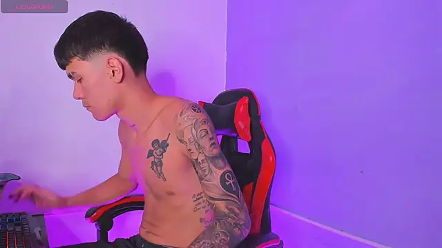WhyNotDestroy webcam